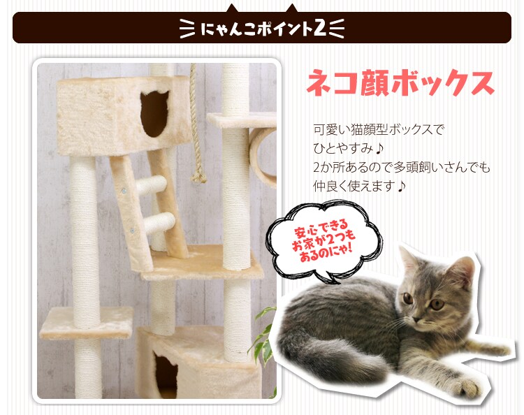 ≪天井突っ張り≫キャットタワー QQ80037 ベージュ3
