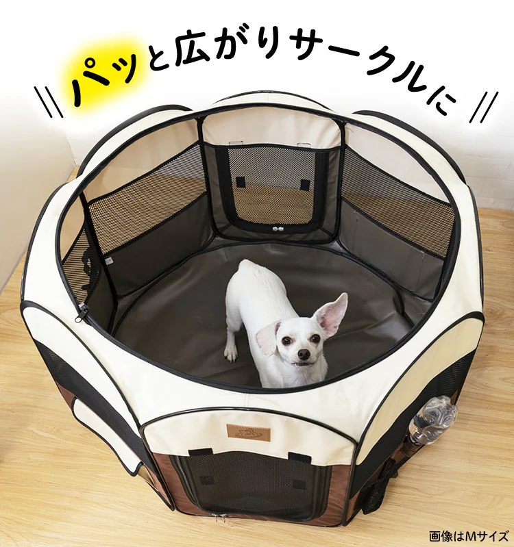 パッと広がりサークルに