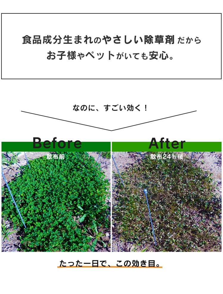 超速効天然除草剤 2L TJS-2L 【単品・セット】 G502118FG│アイリスプラザ│アイリスオーヤマ公式通販サイト 超速効天然除草剤 2L TJS-2L 【単品・セット】 G502118FG│アイリスプラザ│アイリスオーヤマ公式通販サイト