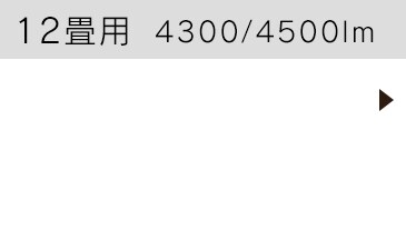 12畳用