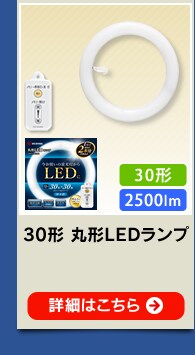 丸形LEDライト 30形+30形相当の明るさ