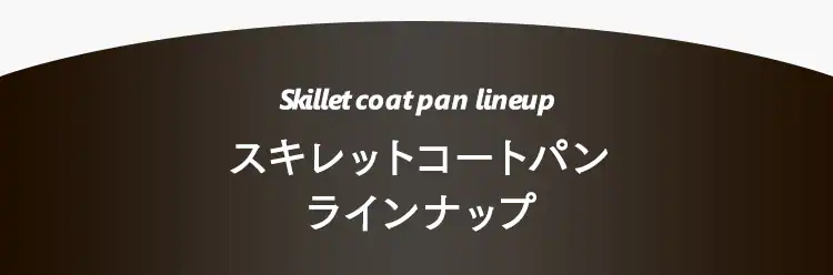 フライパン 20cm IH/ガス火対応 スキレットコートパン SKL-20IH20