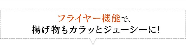 ノンフライ熱風オーブン FVX-D3B-S2