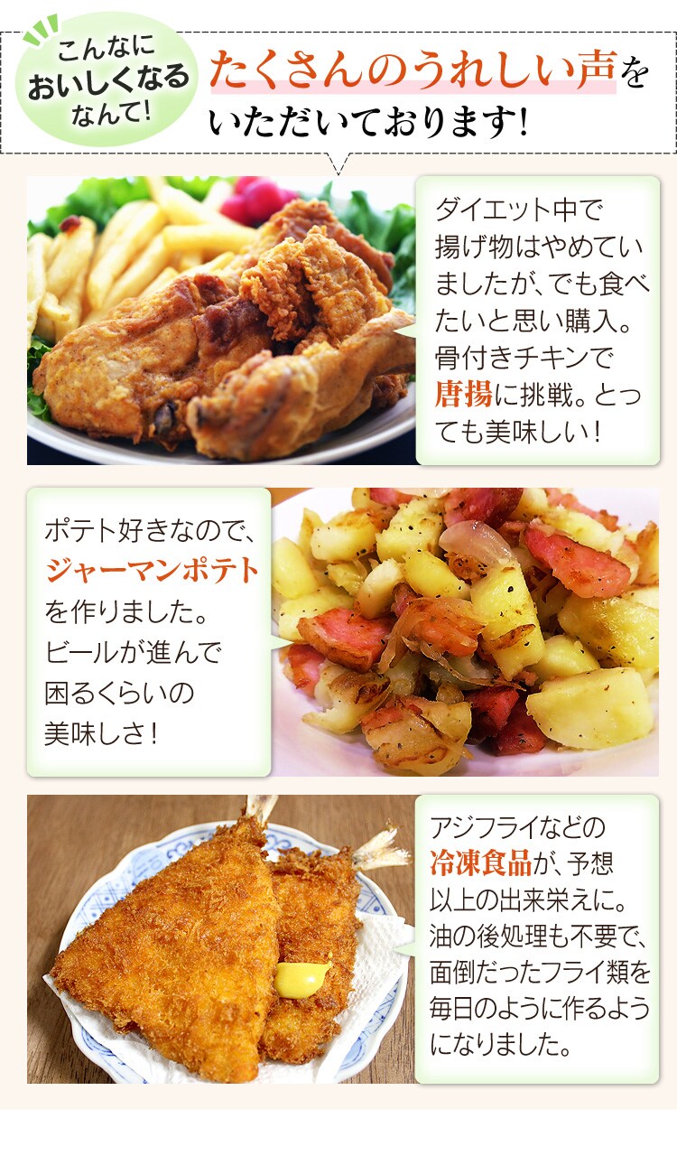 ノンフライ熱風オーブン FVX-D3B-S10