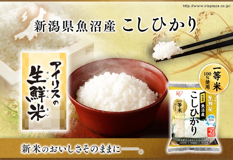 生鮮米 魚沼産こしひかり