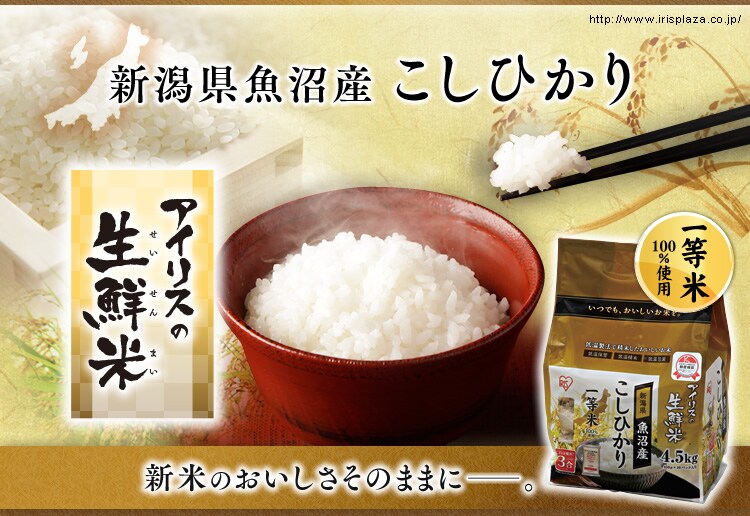 生鮮米 魚沼産こしひかり