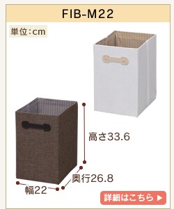 FIB-M22