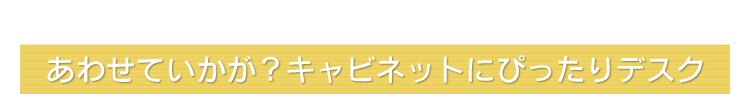 キャビネット FDK-3059C 全2色