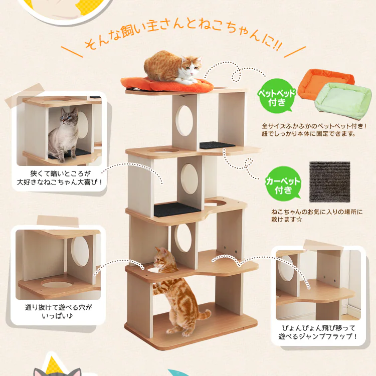 おすすめポイント