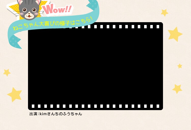 ねこちゃん大喜びの様子