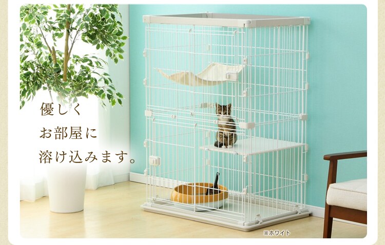 ねこちゃんのお世話がしやすいポイント