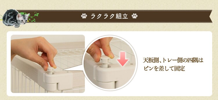 商品詳細