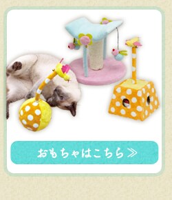 おもちゃはこちら