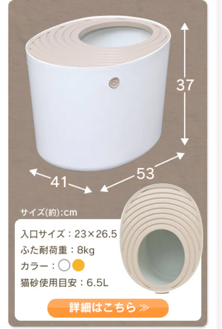 レギュラ拏サイズ