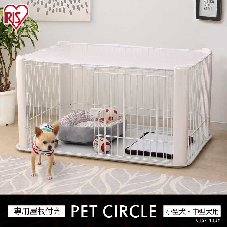 犬と暮らすリビングの作り方 注意点は レイアウト実例付きで解説 タスクル