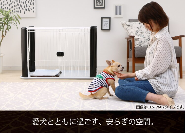 愛犬とともに過ごす、安らぎの空間