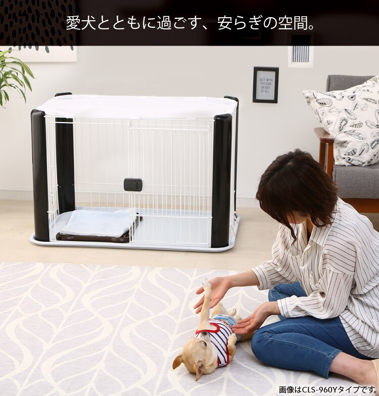 愛犬とともに過ごす、安らぎの空間