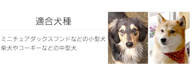 適合犬種