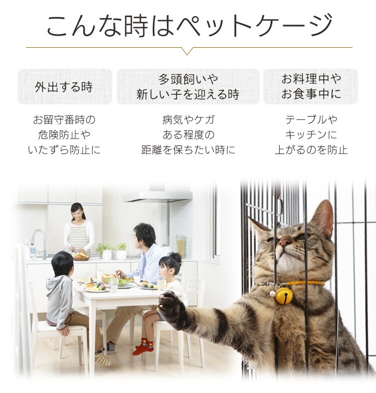 こんな時はペットケージ