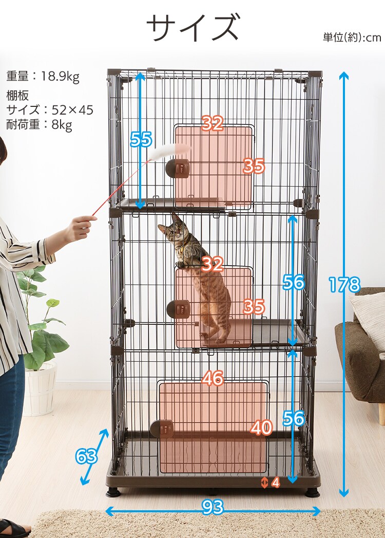 サイズ