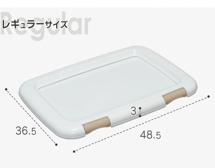 レギュラーサイズ
