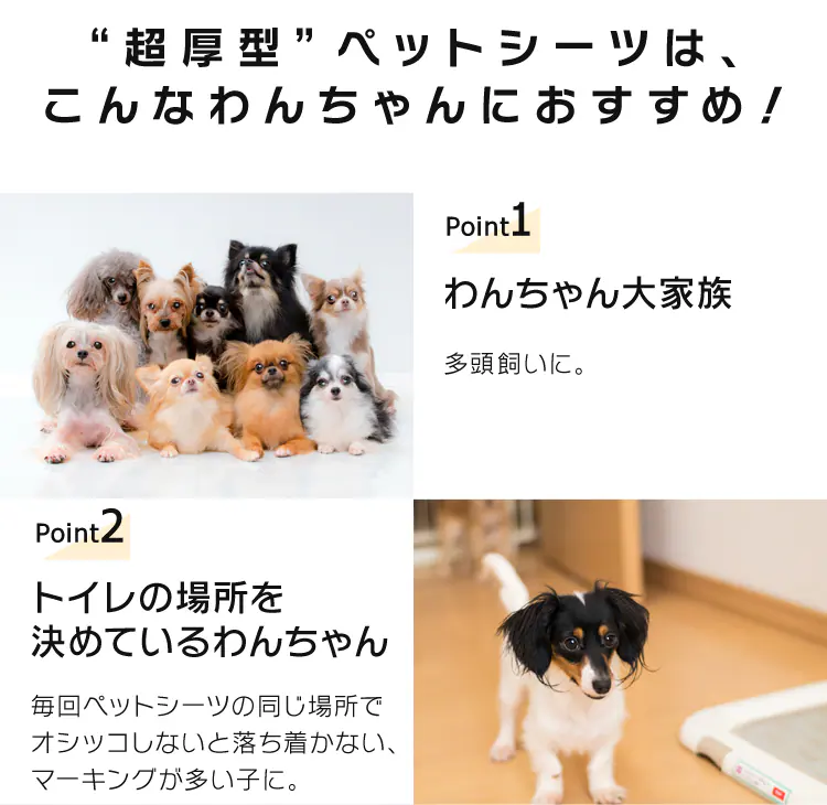 【超厚型】ペットシーツ レギュラーサイズ2