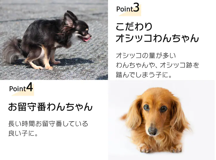 【超厚型】ペットシーツ レギュラーサイズ3