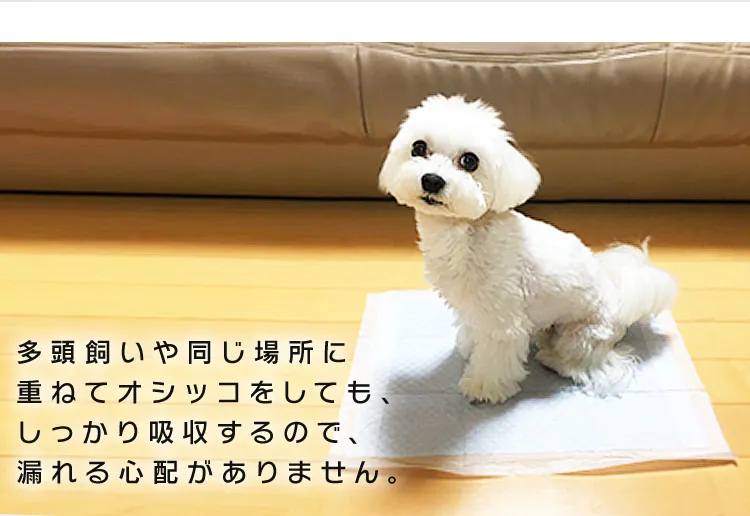 【超厚型】ペットシーツ レギュラーサイズ8
