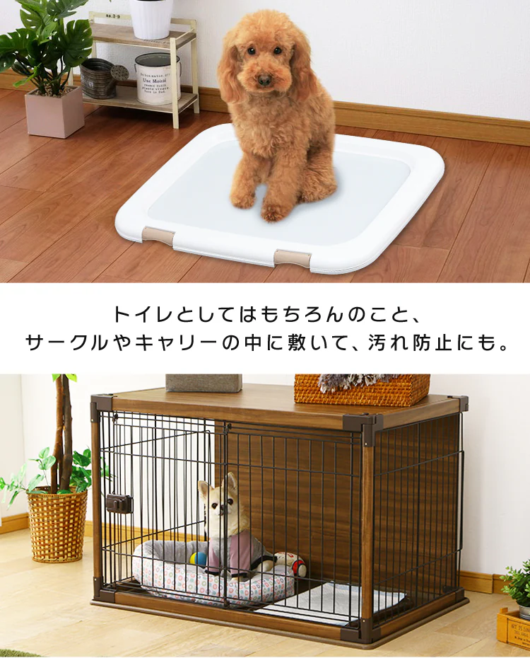 【超厚型】ペットシーツ レギュラーサイズ26