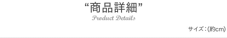 商品詳細
