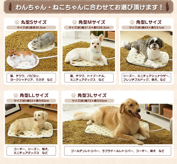 身体のサイズに合わせて選べる
