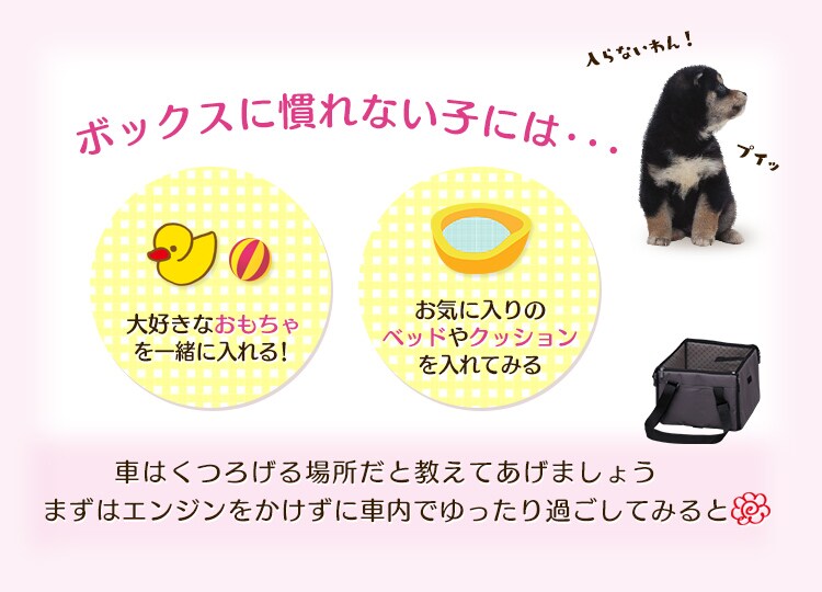 ボックスに慣れない子は・・・