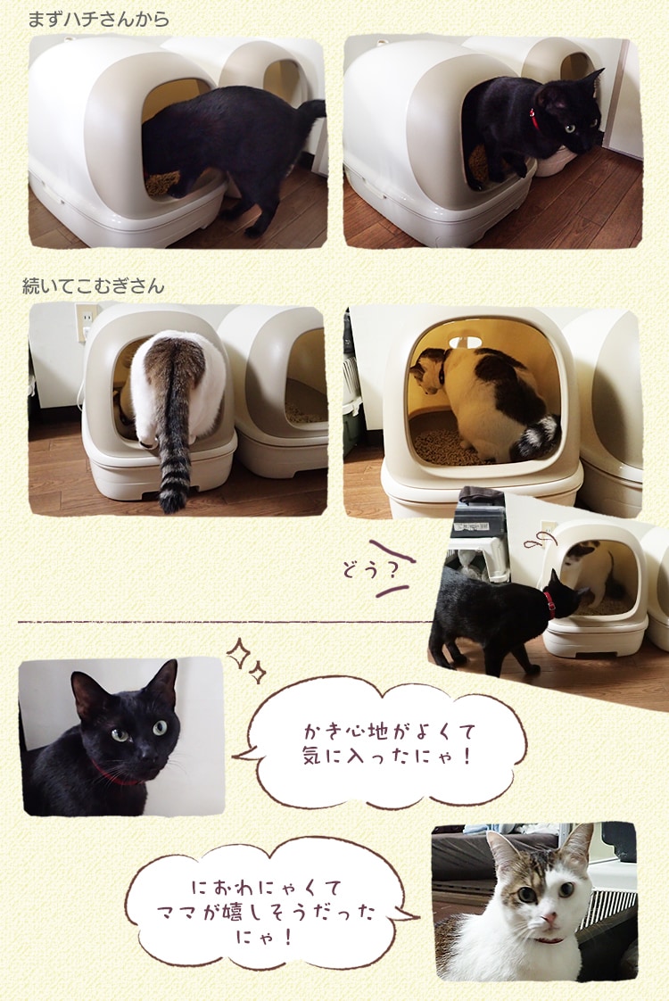 システム猫トイレ用 におわない消臭サンド クエン酸入り 6L TIA-6C/システムトイレ用 におわない消臭サンド 香り付き 6L TIA-6CK10