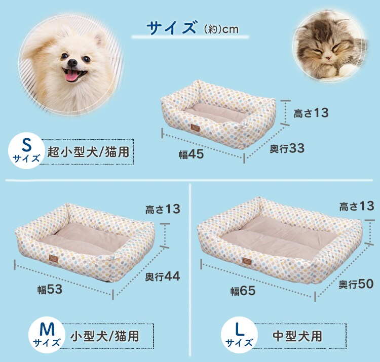 サイズ