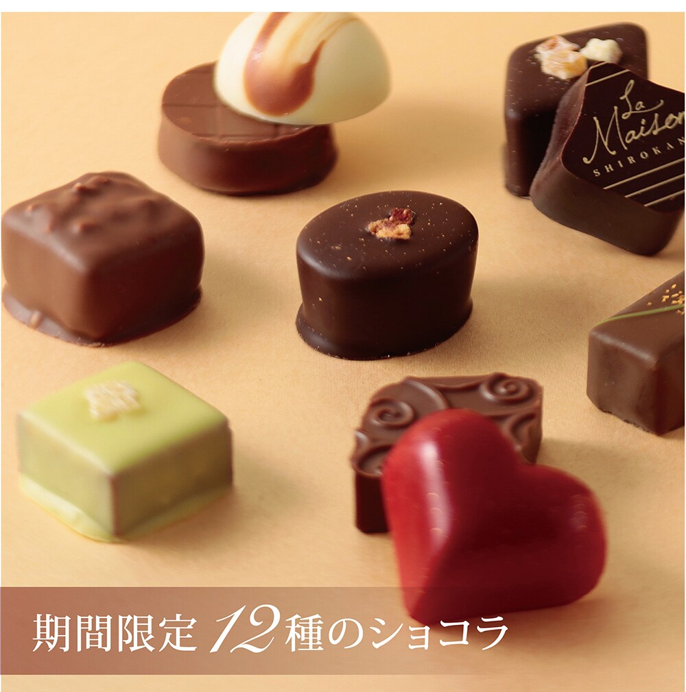 白金セレクション 12コ プラザセレクト アイリスプラザ アイリスオーヤマ公式通販サイト 白金セレクション 12コ プラザセレクト アイリスプラザ アイリスオーヤマ公式通販サイト