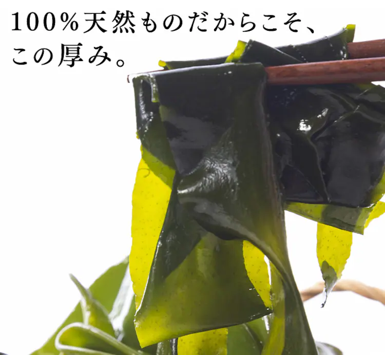 三陸産新物生わかめメカブセット 1kg 【同梱不可】【プラザセレクト】3