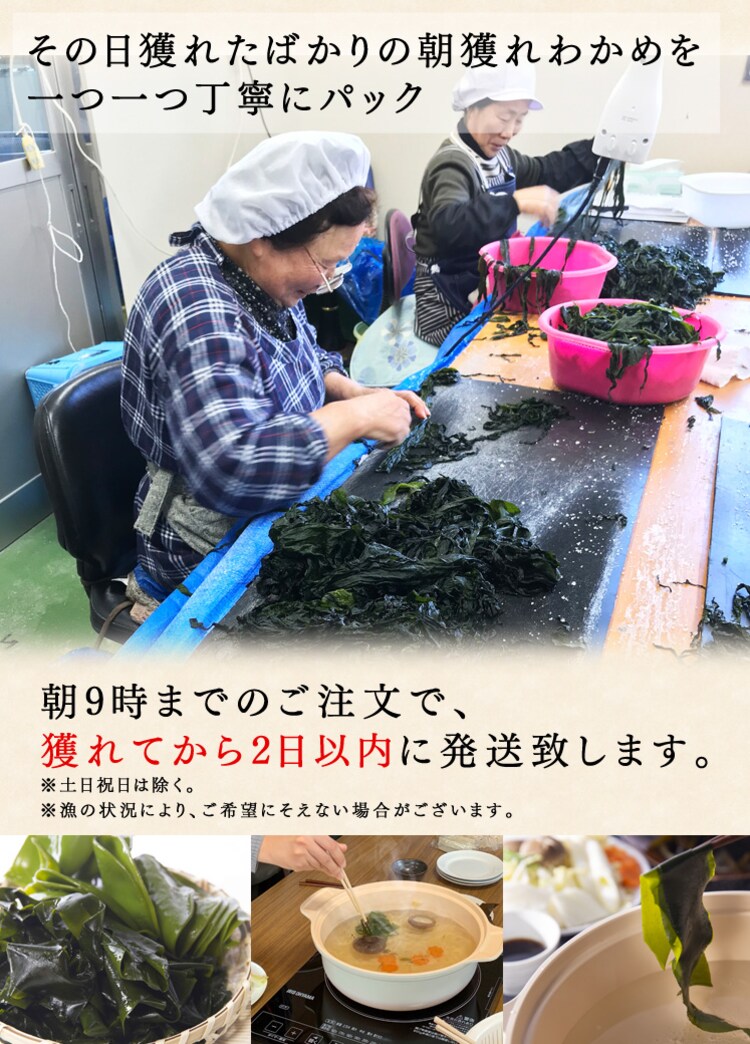 三陸産新物生わかめメカブセット 1kg 【プラザセレクト】【代引き不可】4