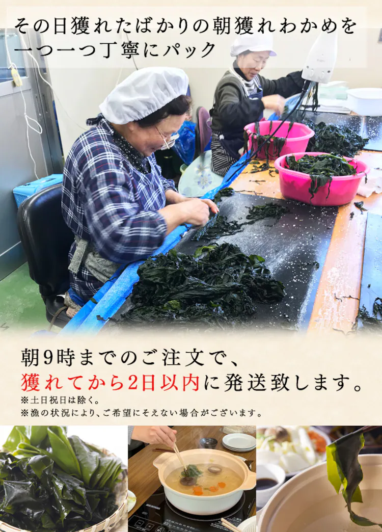 三陸産新物生わかめメカブセット 1kg 【同梱不可】【プラザセレクト】4