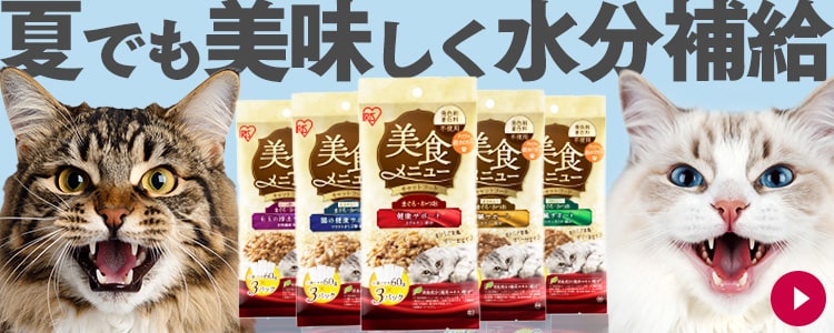 ねこちゃんごはん ねこちゃんの国産牛乳 スープごはん 成猫用 40g×5 - メルカリ