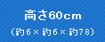 60cm