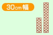 30cm