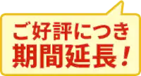 bL[vX D]ɂԉI