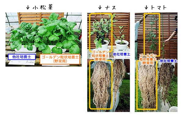 ゴールデン粒状培養土とは 野菜用 アイリスプラザ メディア