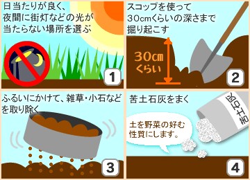 家庭菜園初心者のための春菜園スタートガイド アイリスプラザ メディア