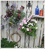 botanî