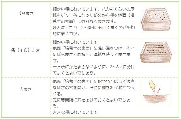 種の大きさに応じたまき方