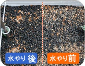 アイリスオーヤマのゴールデン培養土なら…