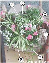 花材