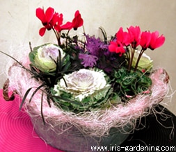 ���N�̃N���X�}�X�J���[���ӎ������񂹒u��