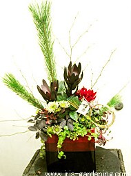 ����ς�g�a�h�̋C��